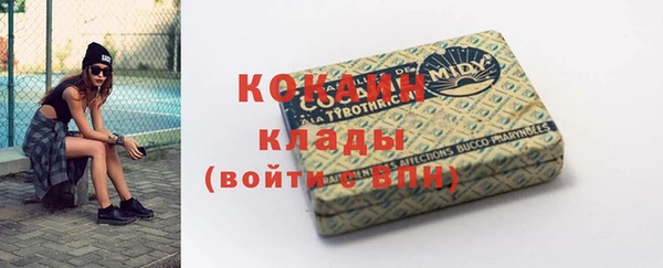 МДПВ Нея