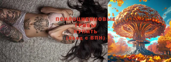 гидра Нефтекумск