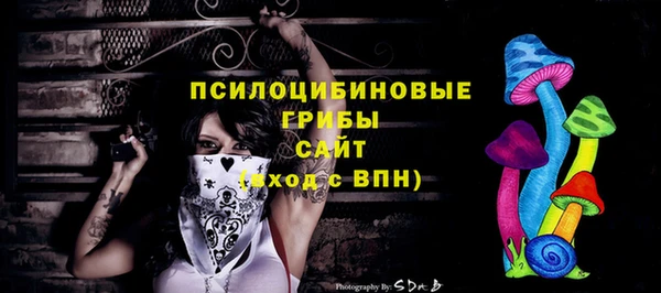 МДПВ Нея