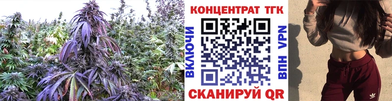 кракен вход  Семикаракорск  ТГК вейп с тгк 
